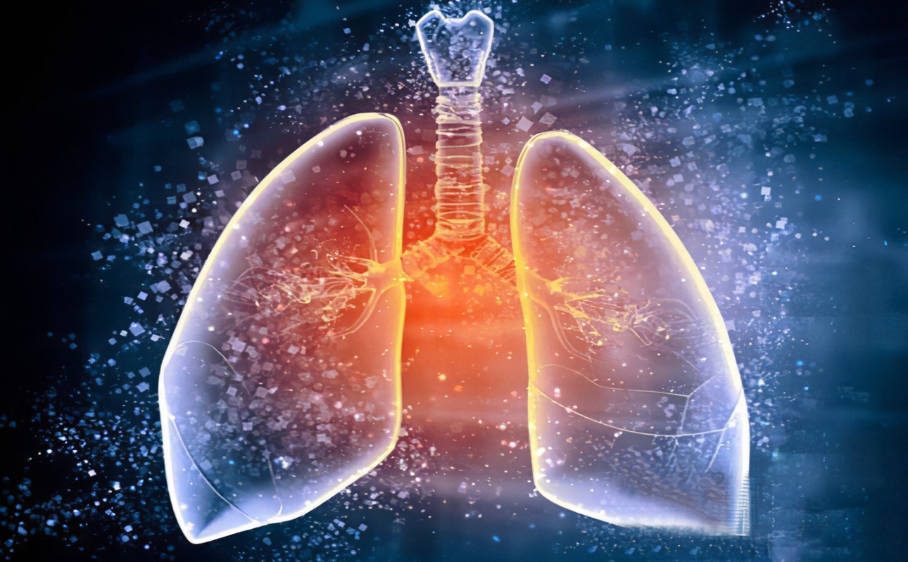 得了肺結(jié)核是全天咳嗽嗎？