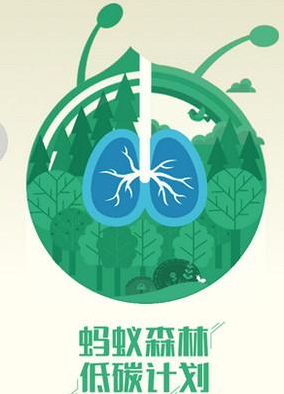 怎樣獲取螞蟻森林能量去種樹，去做公益活動呢？
