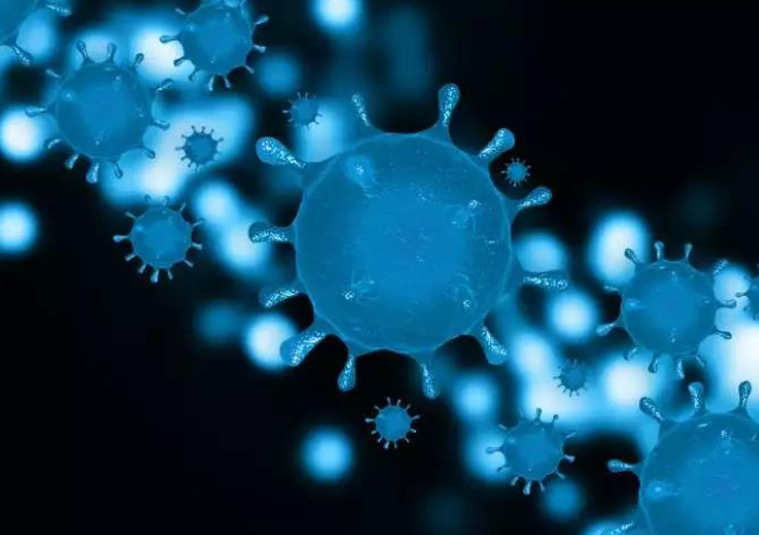 新冠病毒更喜歡脂肪嗎？肥胖人群是不是更容易感染新冠？