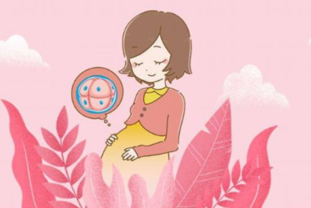 泰國試管嬰兒費用是多少？泰國試管嬰兒成功率高嗎？