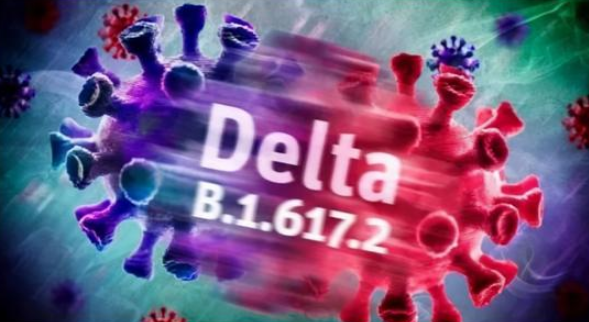 南京疫情病毒毒株是德爾塔毒株？德爾塔毒株有哪些特點？
