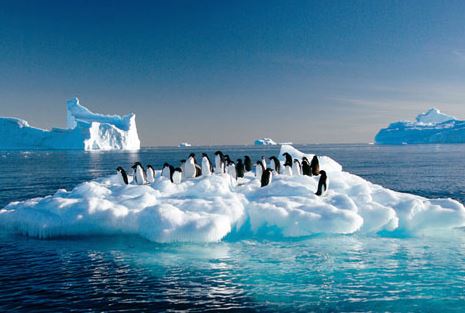 強(qiáng)寒潮是在打臉全球變暖嗎？